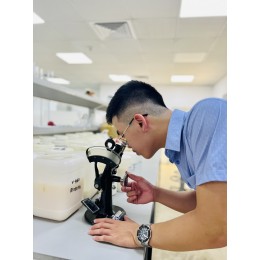 CHẤT TRỢ TẠO MÀNG